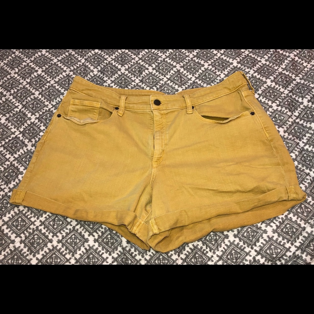 Fall Shorts